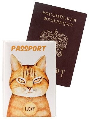 Обложка д/паспорта "Хмурый кот" ПВХ