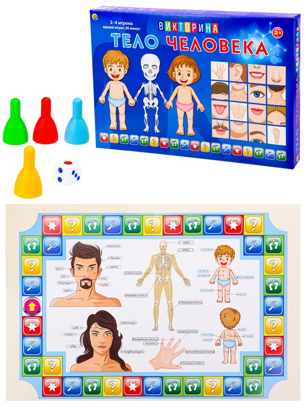 Игра-викторина "Тело человека" для малышей
