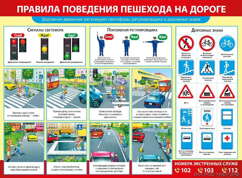 Плакат А2 "Правила поведения пешехода на дороге"