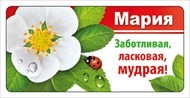Магнит МАРИЯ, 9х4 см, винил